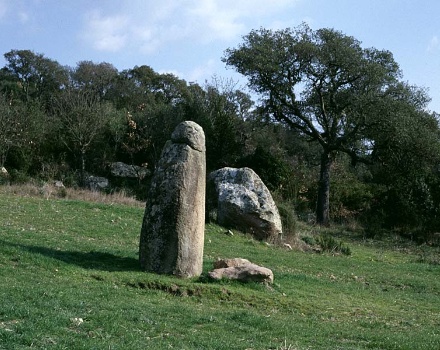 Foto Menhir