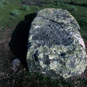 Carabassa, menhir