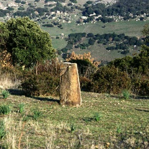 Carabassa, menhir