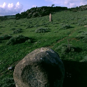 Menhir di Tuttiricchiu