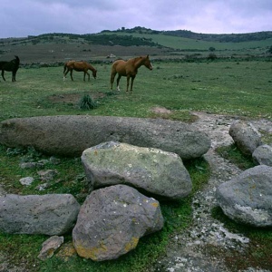 Menhir di Badueggianas