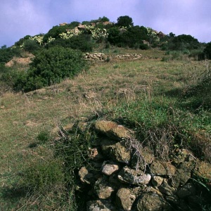 Nuraghe Crannaiou