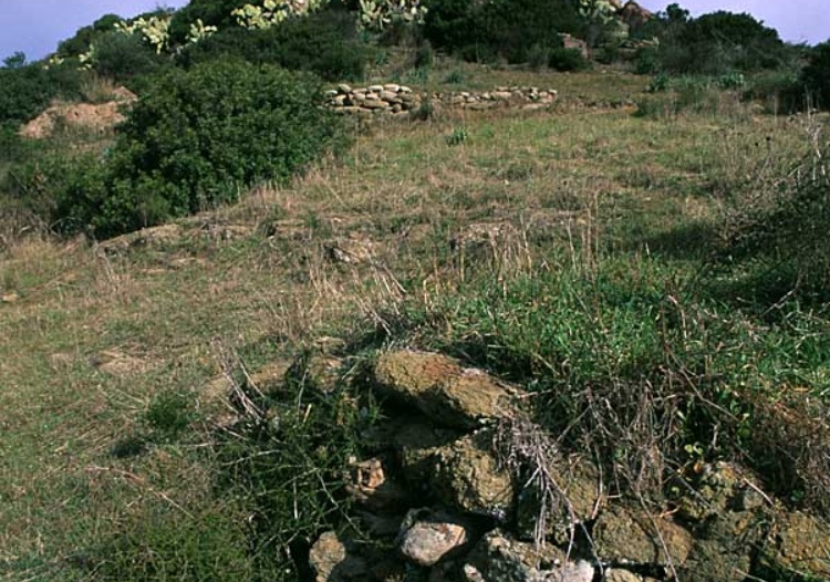 Nuraghe Crannaiou