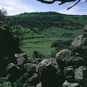 Nuraghe Genna Sa Pira