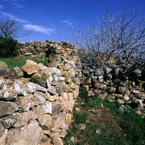 Nuraghe Su Tancu