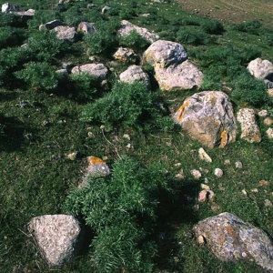 Nuraghe Zinnigas
