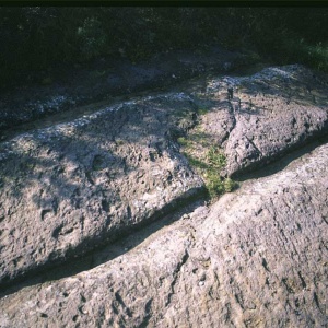 Segni lasciati dalle ruote dei carri agricoli