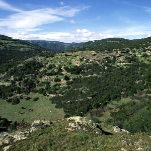 Panoramica del territorio