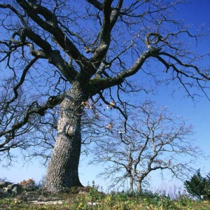 Scorcio del territorio