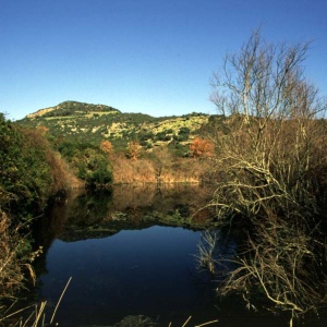 Scorcio delle campagne attorno al paese
