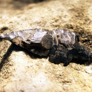 Punta di freccia in ossidiana