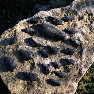 Strumenti vari in ossidiana