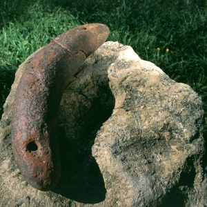 Peso da telaio reniforme