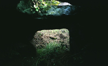 Visualizza la Galleria: Tombe