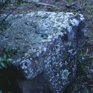 Sa Sedda 'e s'aurras, portellone adagiato per terra su cui risalta un simbolo fallico