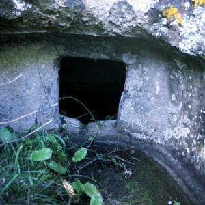 Is Forrus, domus n. 5