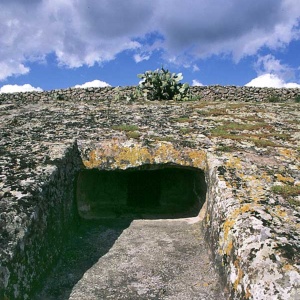 Genna Salixi, tomba n. 8