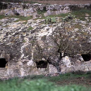 Alcune domus della necropoli di Genna Salixi