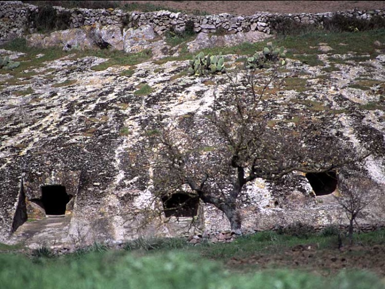 Alcune domus della necropoli di Genna Salixi