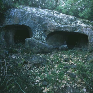 Domus de janas di Sa Conk'e s'abioi