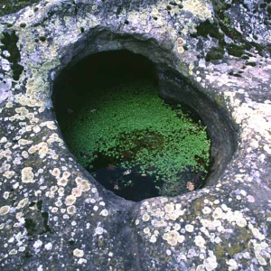 Padrillonis, tomba n. 1