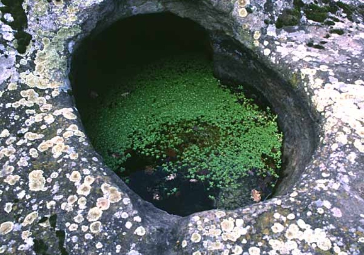 Padrillonis, tomba n. 1