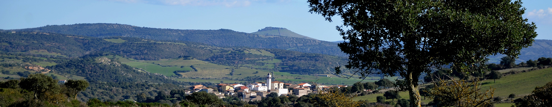 Visualizza la notizia: Slide 2